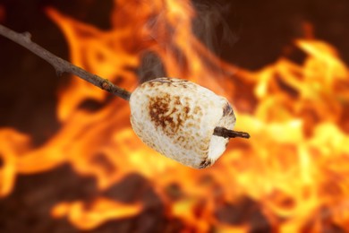 Image of Delicious puffy marshmallow roasting over bonfire. Yummy snack