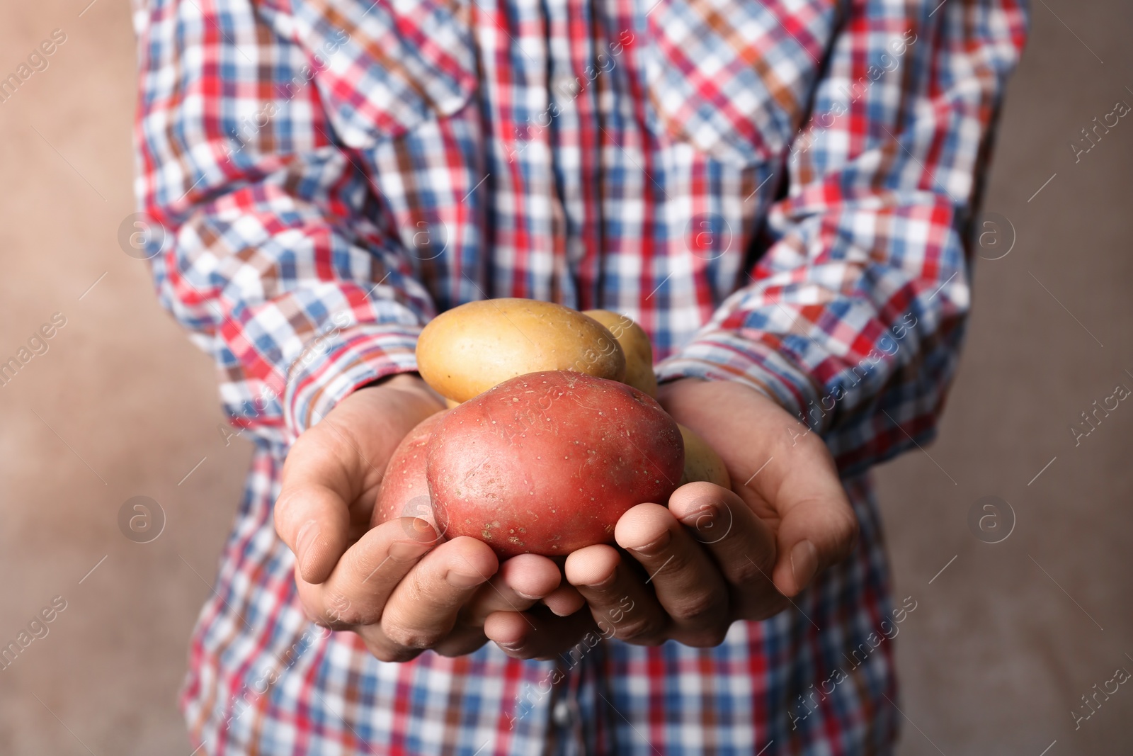 Photo of Person holding handful of fresh organic potatoes on color background