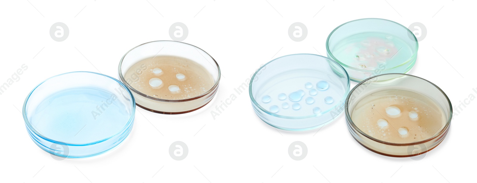 Image of Set of Petri dishes with liquid samples isolated on white