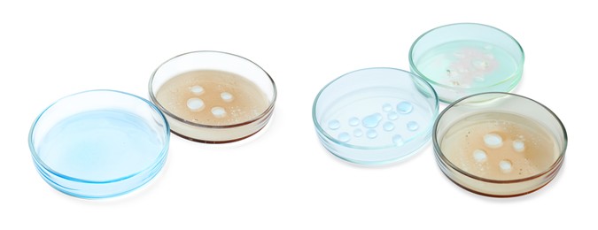 Image of Set of Petri dishes with liquid samples isolated on white