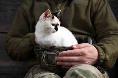 Photo of Soldier rescuing animal. Little stray cat sitting in helmet indoors, closeup