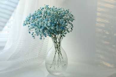 Photo of Beautiful dyed gypsophila flowers in glass vase on white table