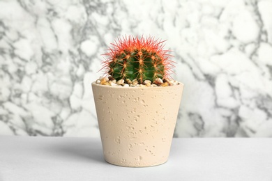 Photo of Beautiful cactus on table