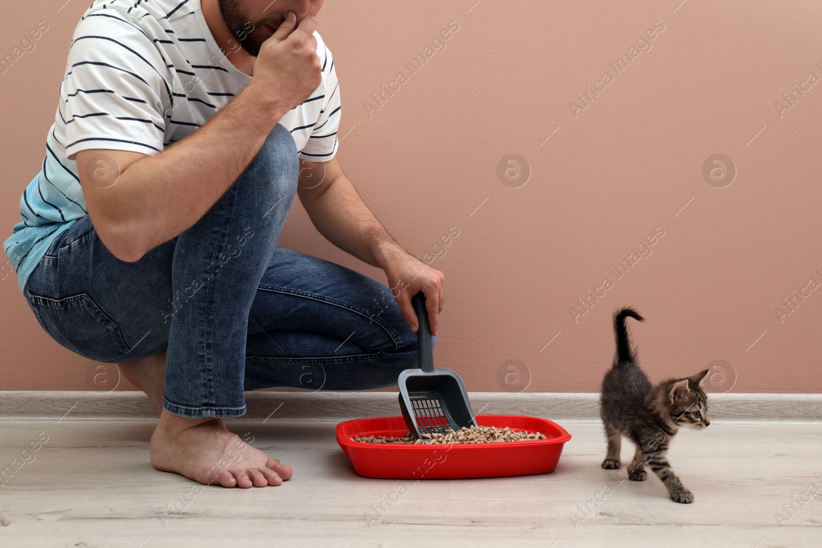 Photo of Young man cleaning cat litter tray at home, closeup