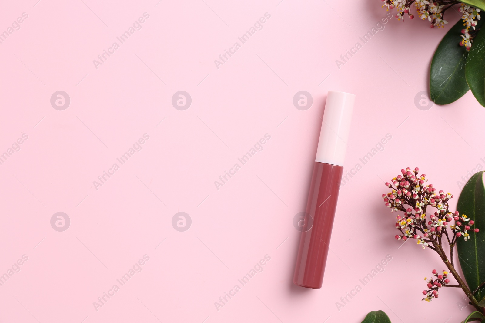 Photo of Bright lip gloss and flowering branches on pink background, top view. Space for text