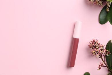 Photo of Bright lip gloss and flowering branches on pink background, top view. Space for text