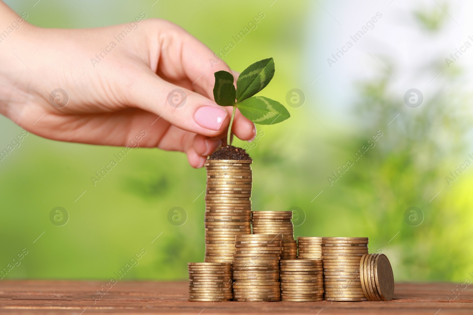 Photo of Woman putting green sprout onto stack of coins at wooden table against blurred background, closeup. Investment concept