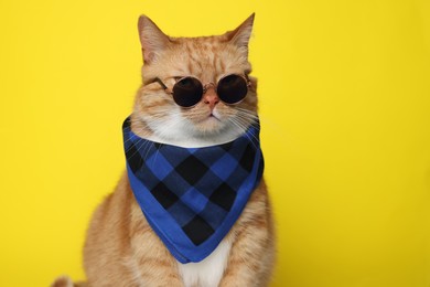 Photo of Cute ginger cat with bandana and sunglasses on yellow background. Adorable pet