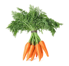 Photo of Bunch of fresh ripe carrots isolated on white