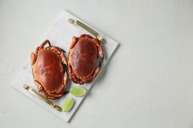 Photo of Delicious boiled crabs and lime on white table, top view. Space for text