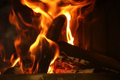 Photo of Bonfire with burning firewood on dark background, closeup