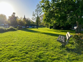 Photo of Picturesque view of green park with wooden bench on sunny morning