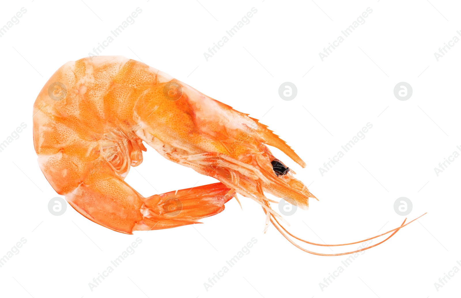 Photo of Delicious cooked whole shrimp isolated on white