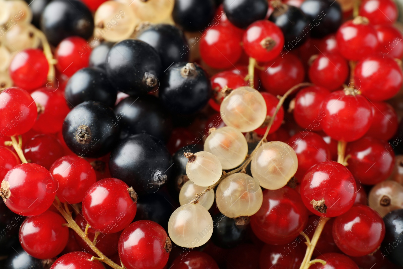 Photo of Different fresh ripe currants as background, closeup