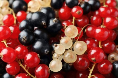 Different fresh ripe currants as background, closeup