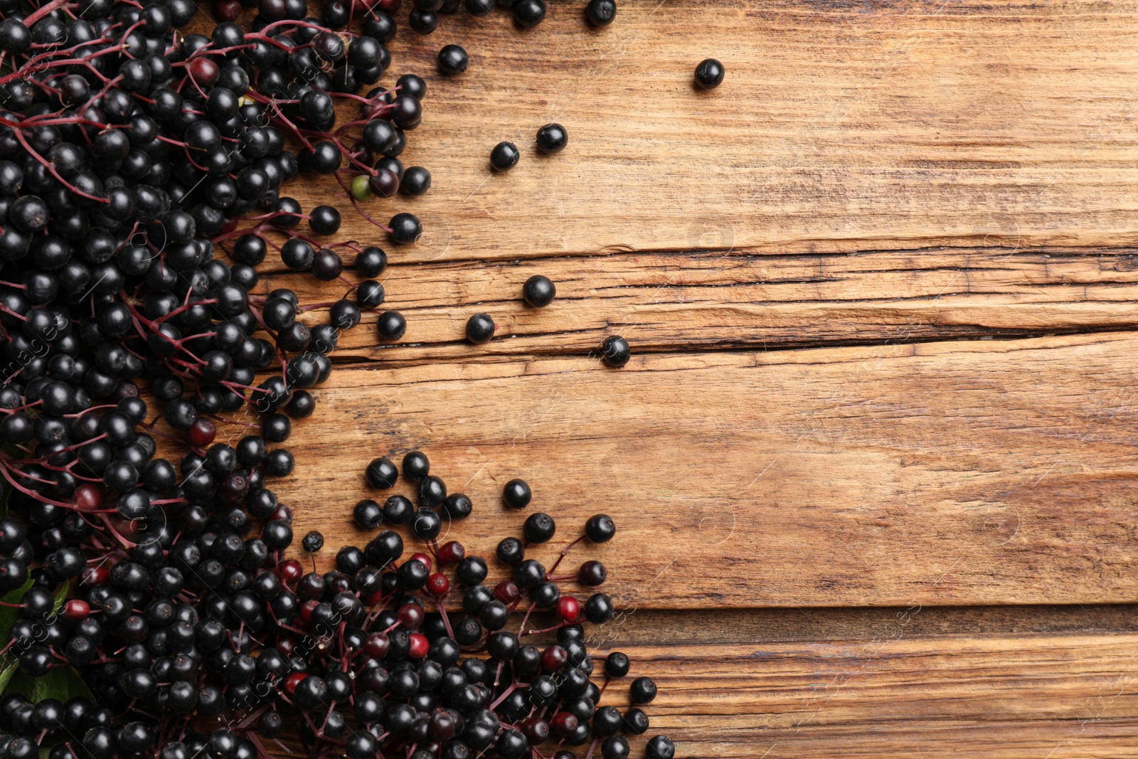 Photo of Elderberries (Sambucus) on wooden table, flat lay. Space for text