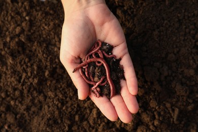 Photo of Woman holding soil with earthworms above ground, top view
