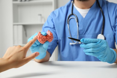 Photo of Endocrinologist showing thyroid gland model at white table in hospital and patient pointing at it, closeup