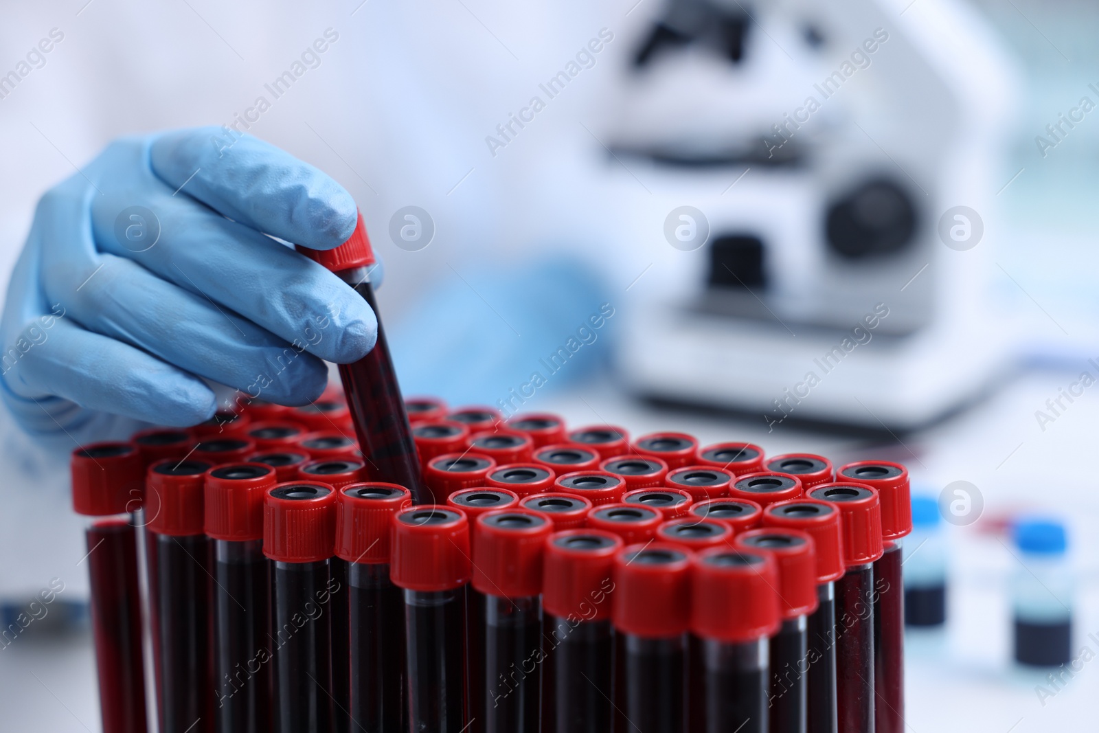 Photo of Scientist working with samples in test tubes in laboratory, closeup