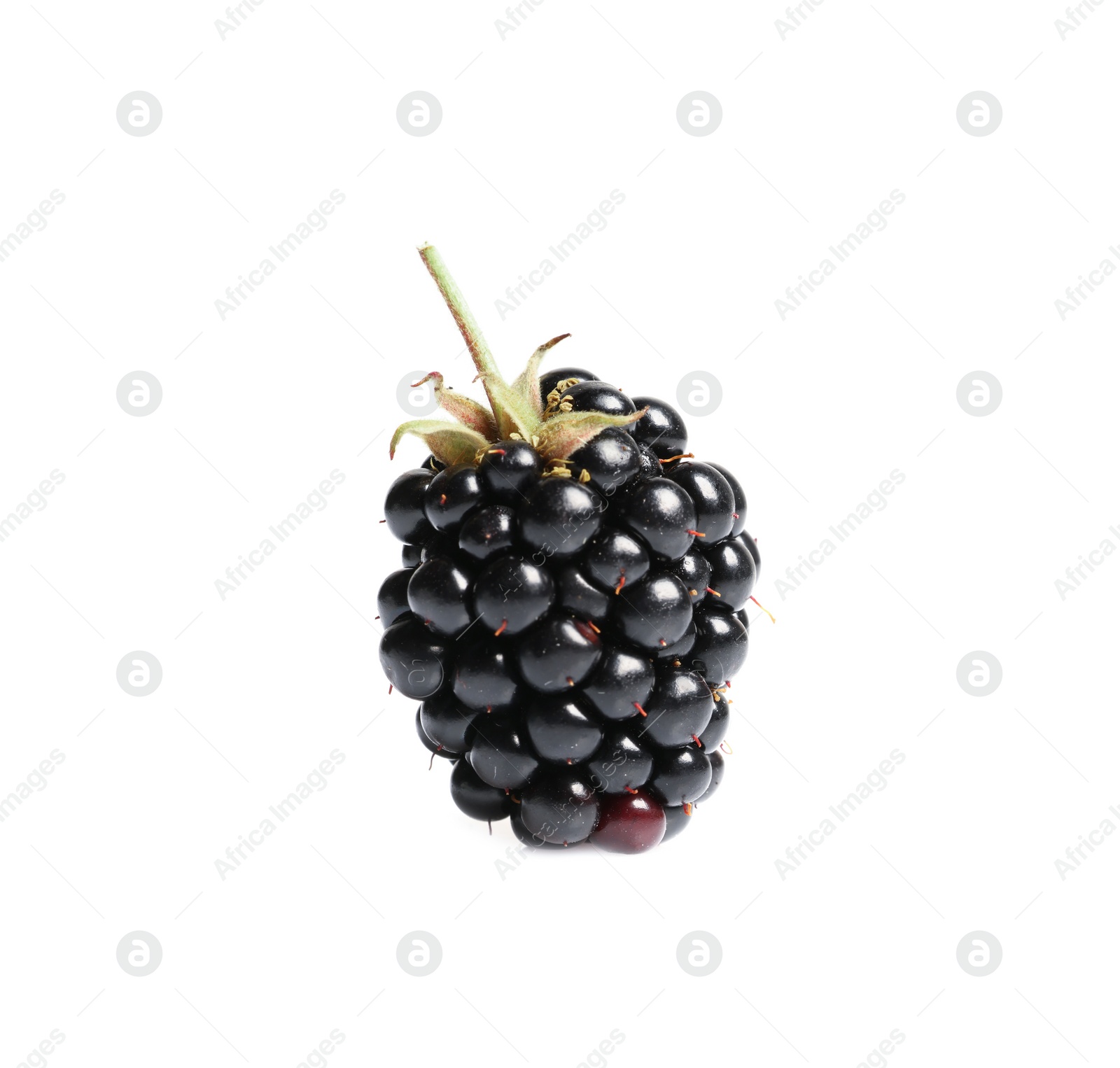 Photo of One tasty ripe blackberry isolated on white