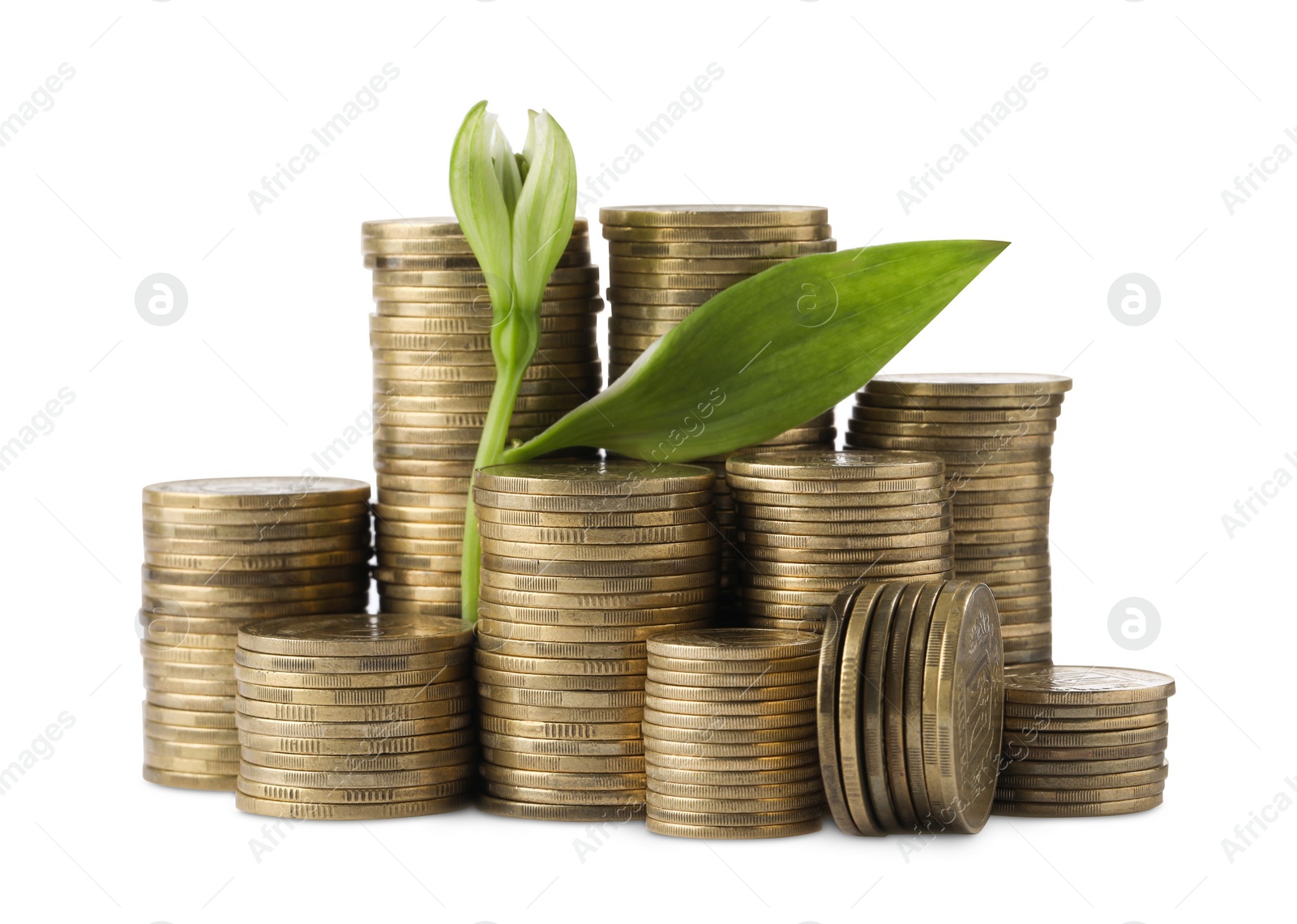 Photo of Stacks of coins and green plant on white background. Prosperous business