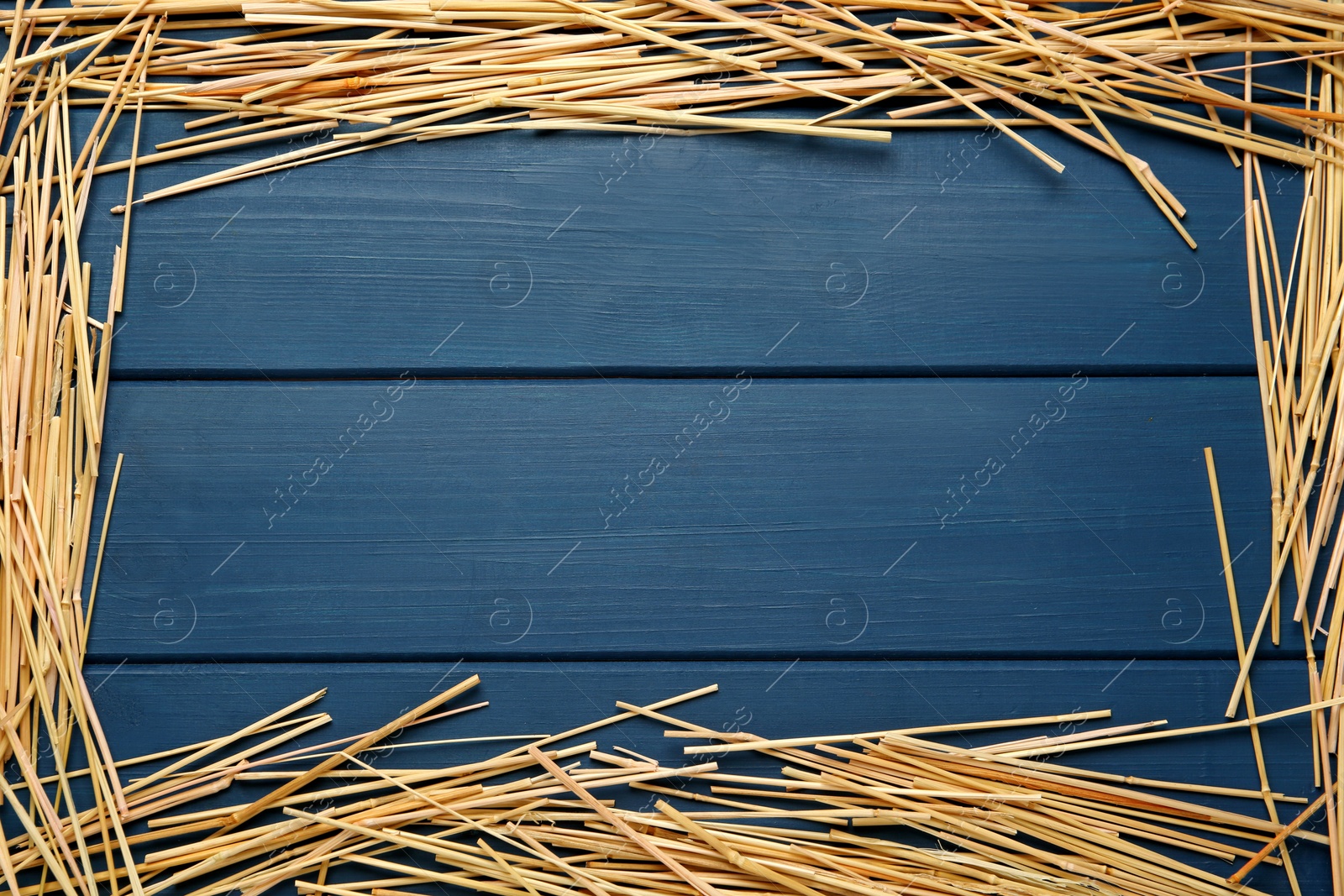 Photo of Frame of dried hay on blue wooden background, flat lay. Space for text