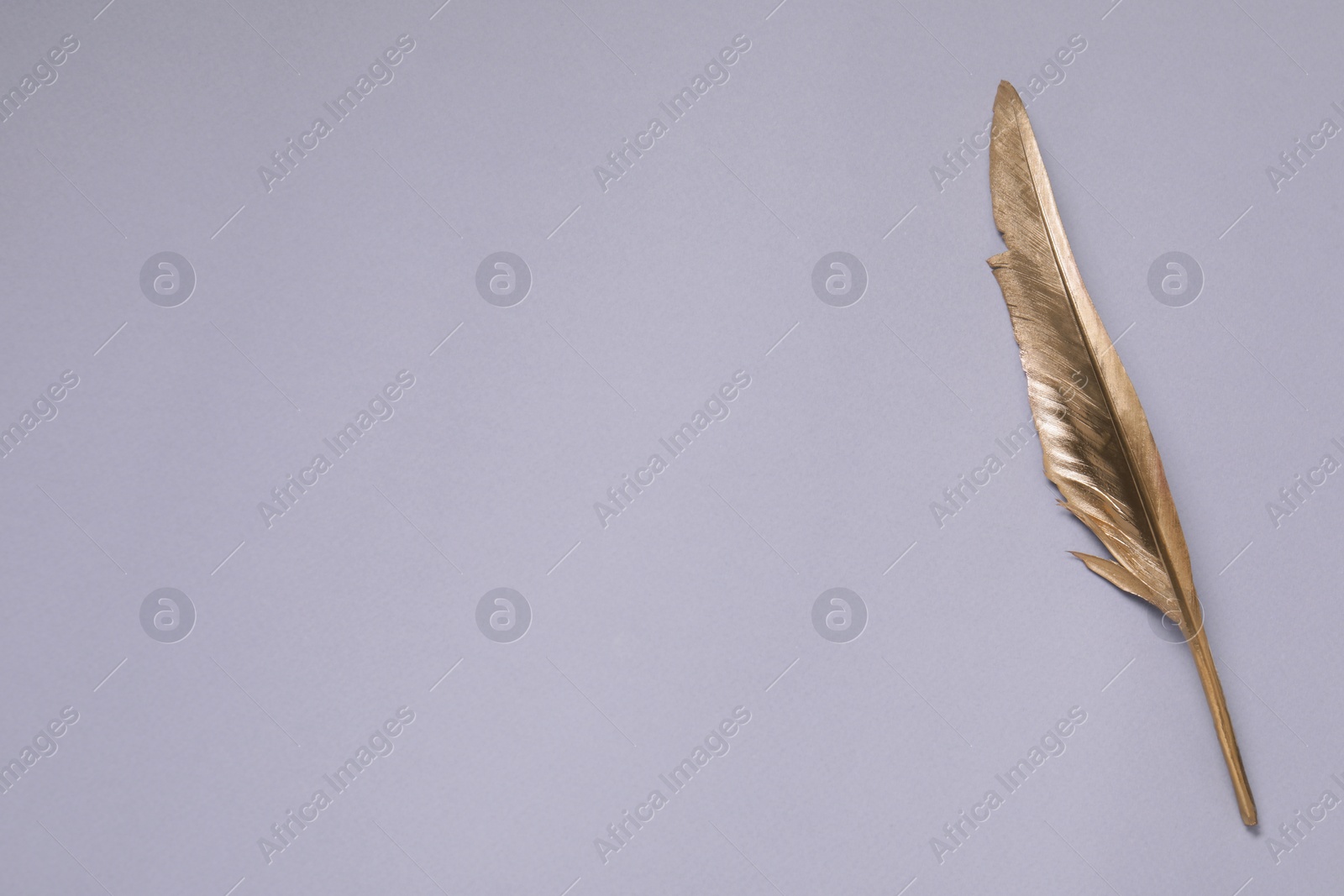 Photo of Golden feather on light blue background, top view. Space for text