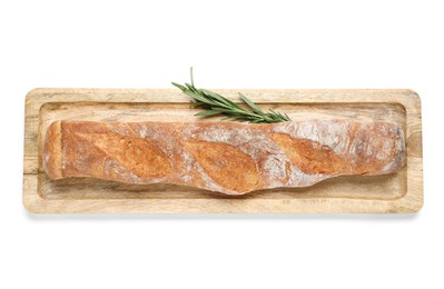 Photo of Crispy French baguette with rosemary isolated on white, top view. Fresh bread