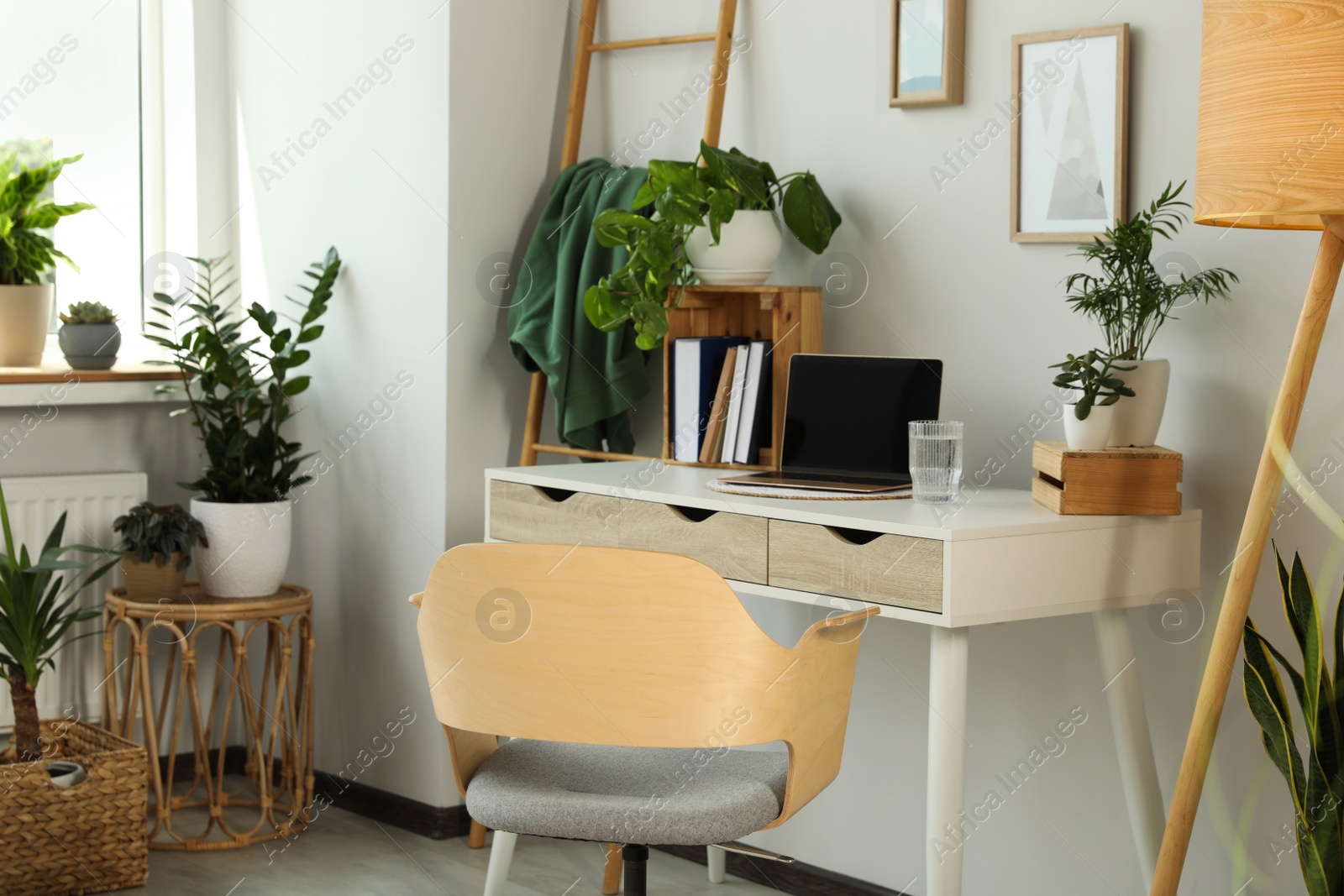 Photo of Home office interior with different beautiful houseplants