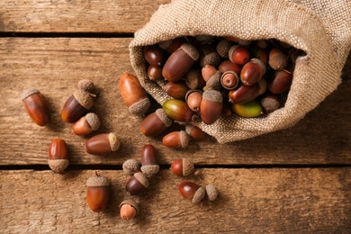 Photo of Sack with acorns on wooden table, top view