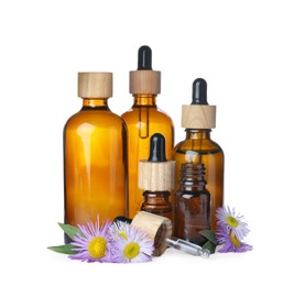 Photo of Bottles of essential oil and daisy flowers on white background
