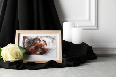 Frame with picture of dog, burning candles and rose flower on light grey table, space for text. Pet funeral