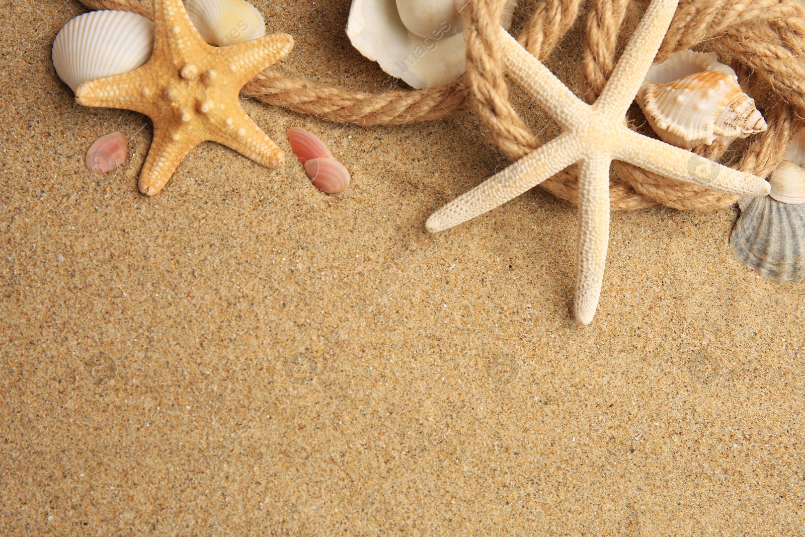 Photo of Beautiful sea stars, shells and rope on sand, flat lay. Space for text