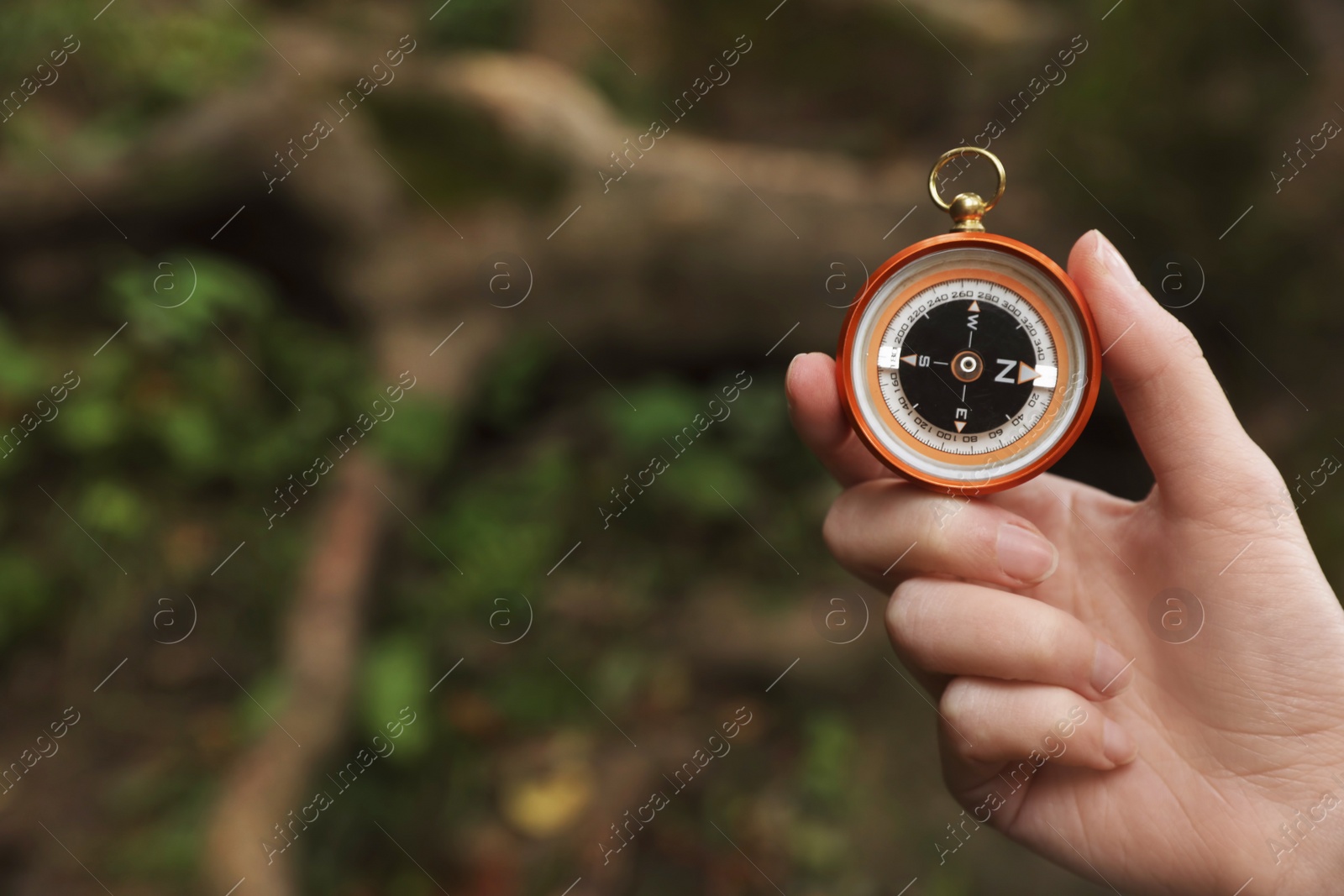 Photo of Traveler searching direction with compass in wilderness, closeup. Space for text