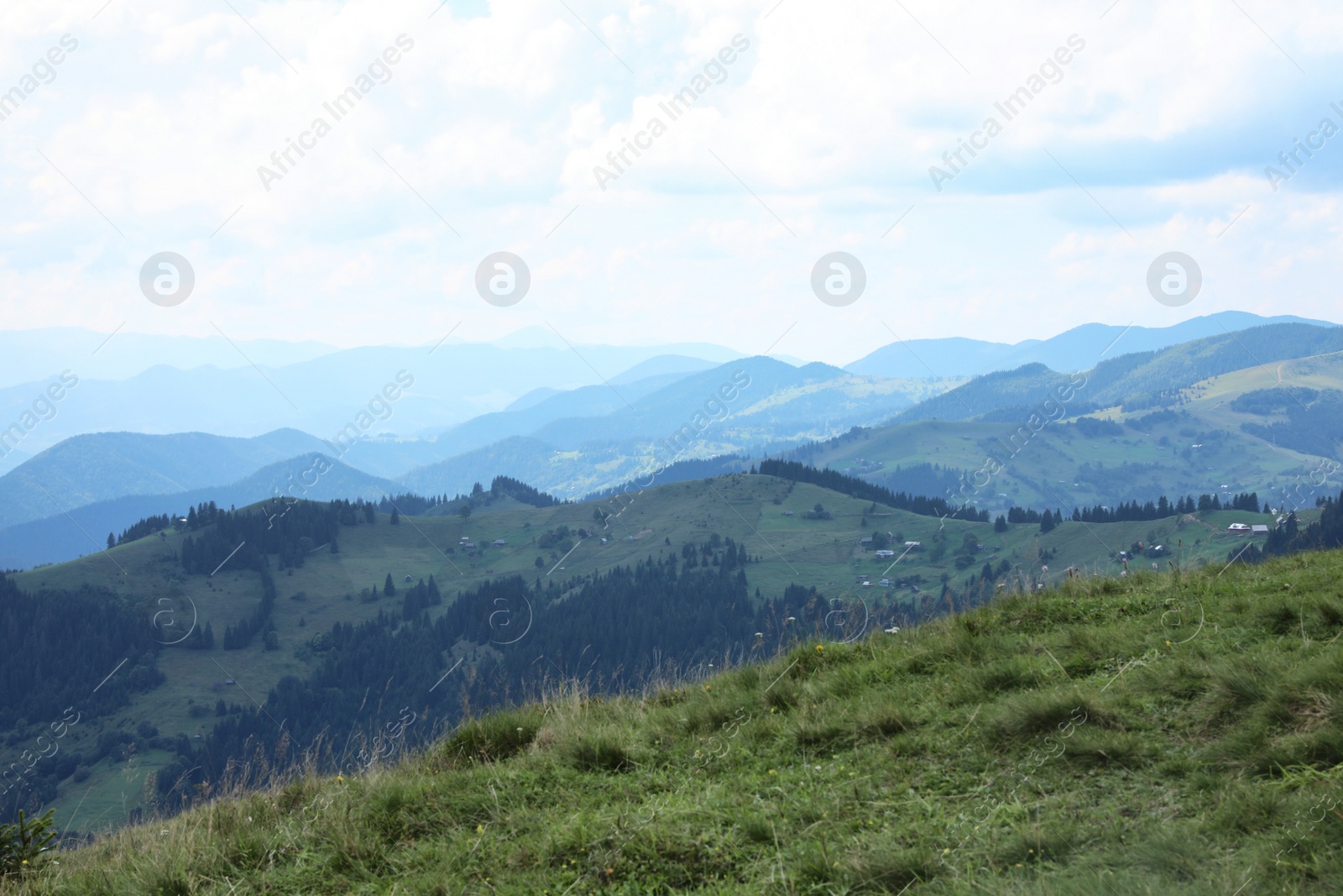 Photo of Beautiful landscape with forest and mountain slopes
