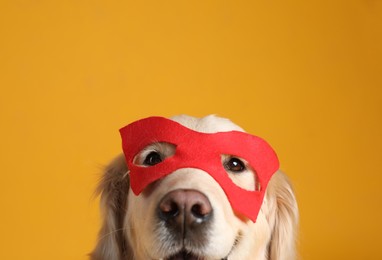 Photo of Adorable dog in superhero mask on yellow background, closeup