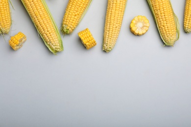 Flat lay composition with tasty sweet corn cobs on light background