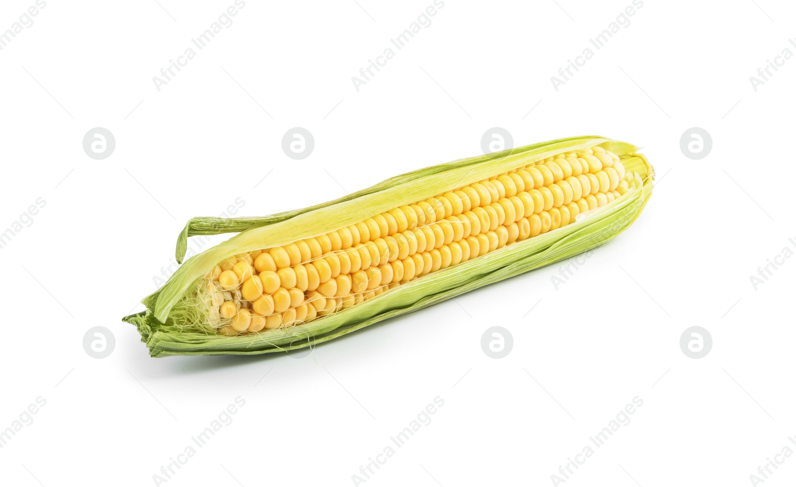 Photo of Ripe raw corn cob with husk isolated on white