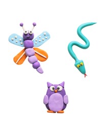 Photo of Colorful plasticine, butterfly, snake and owl on white background, top view