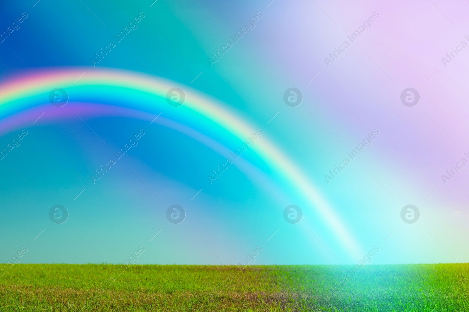 Image of Picturesque view of green meadow and beautiful rainbow in blue sky on sunny day