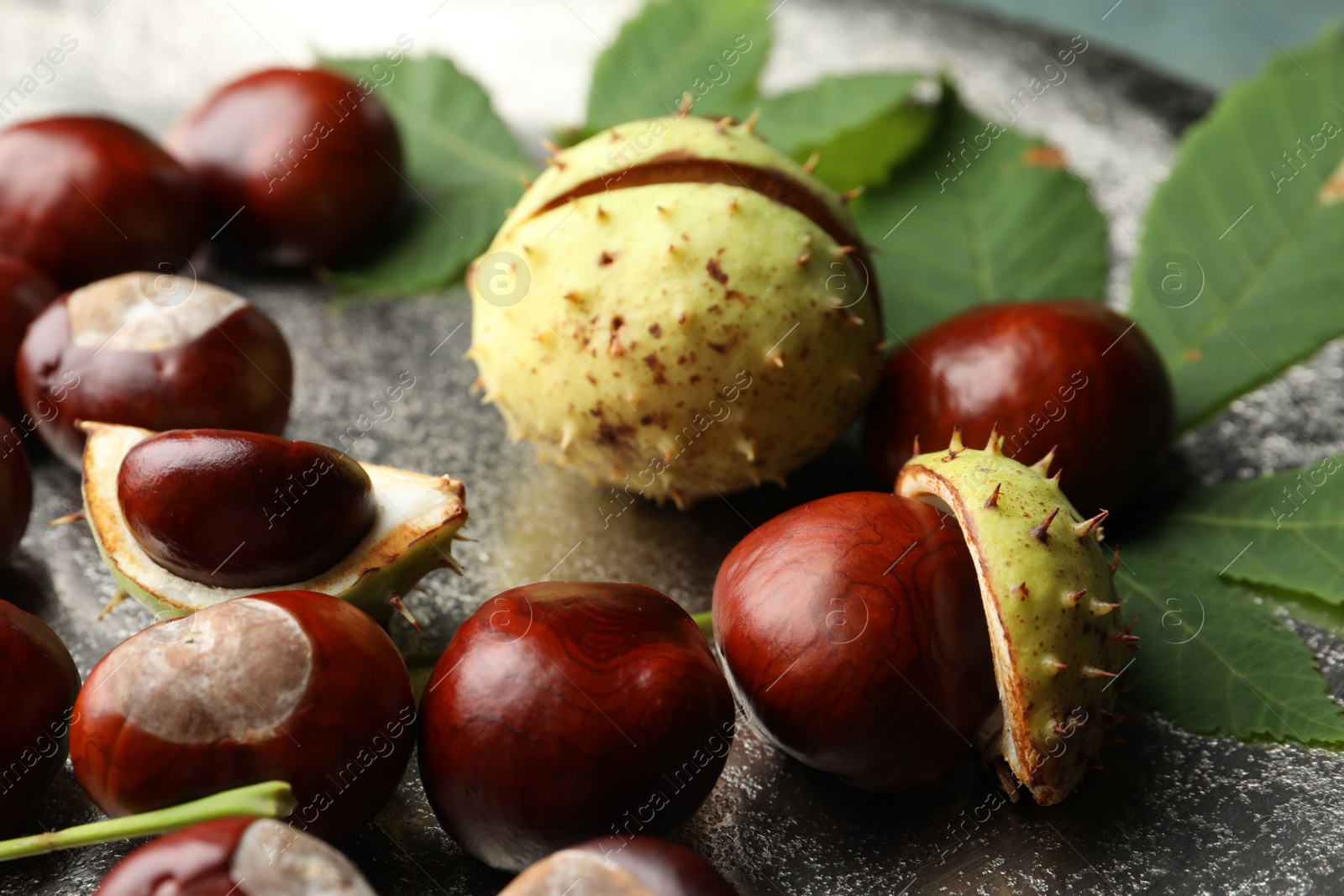 Photo of Horse chestnuts and leaves on plate, closeup