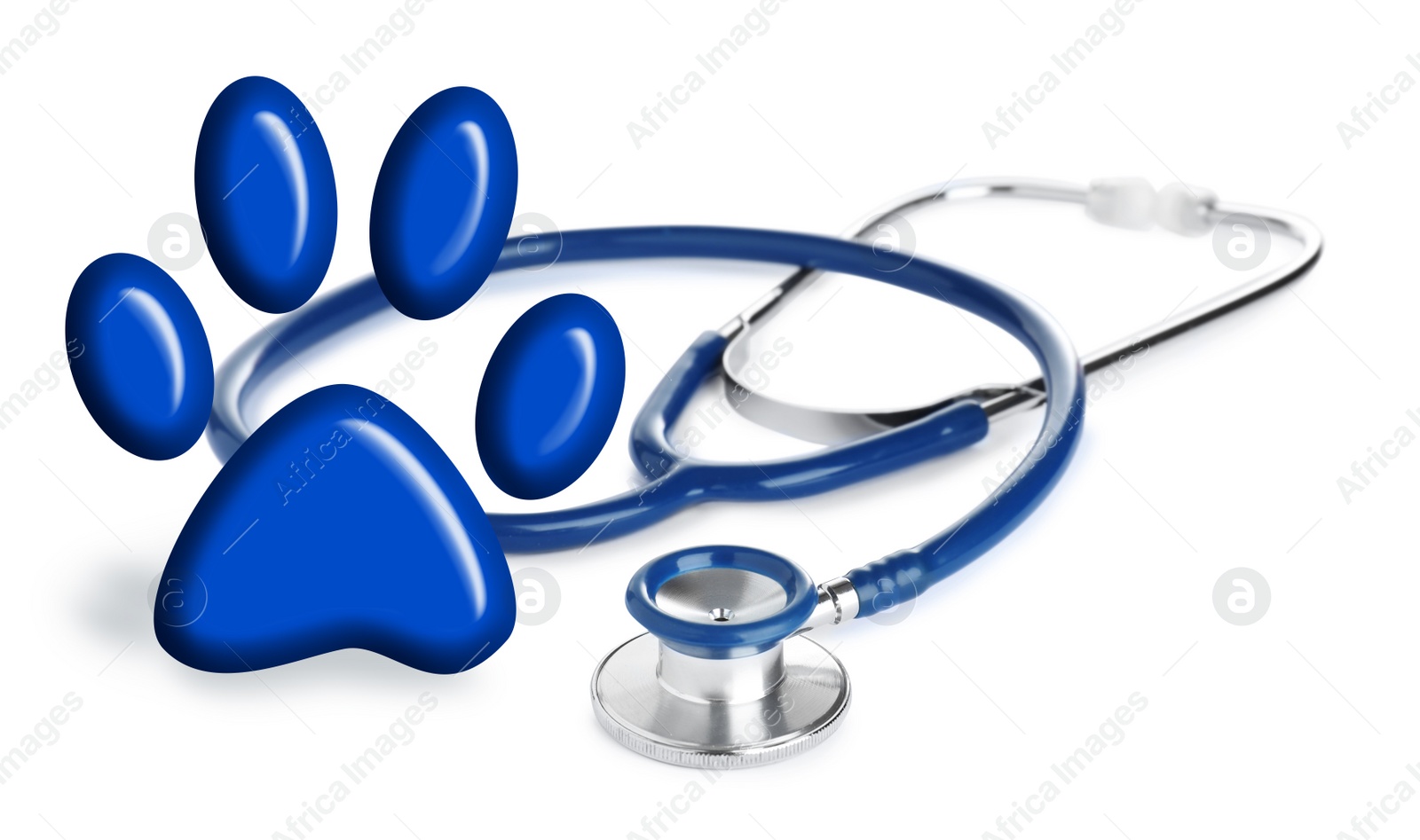 Image of Stethoscope and animal paw on white background