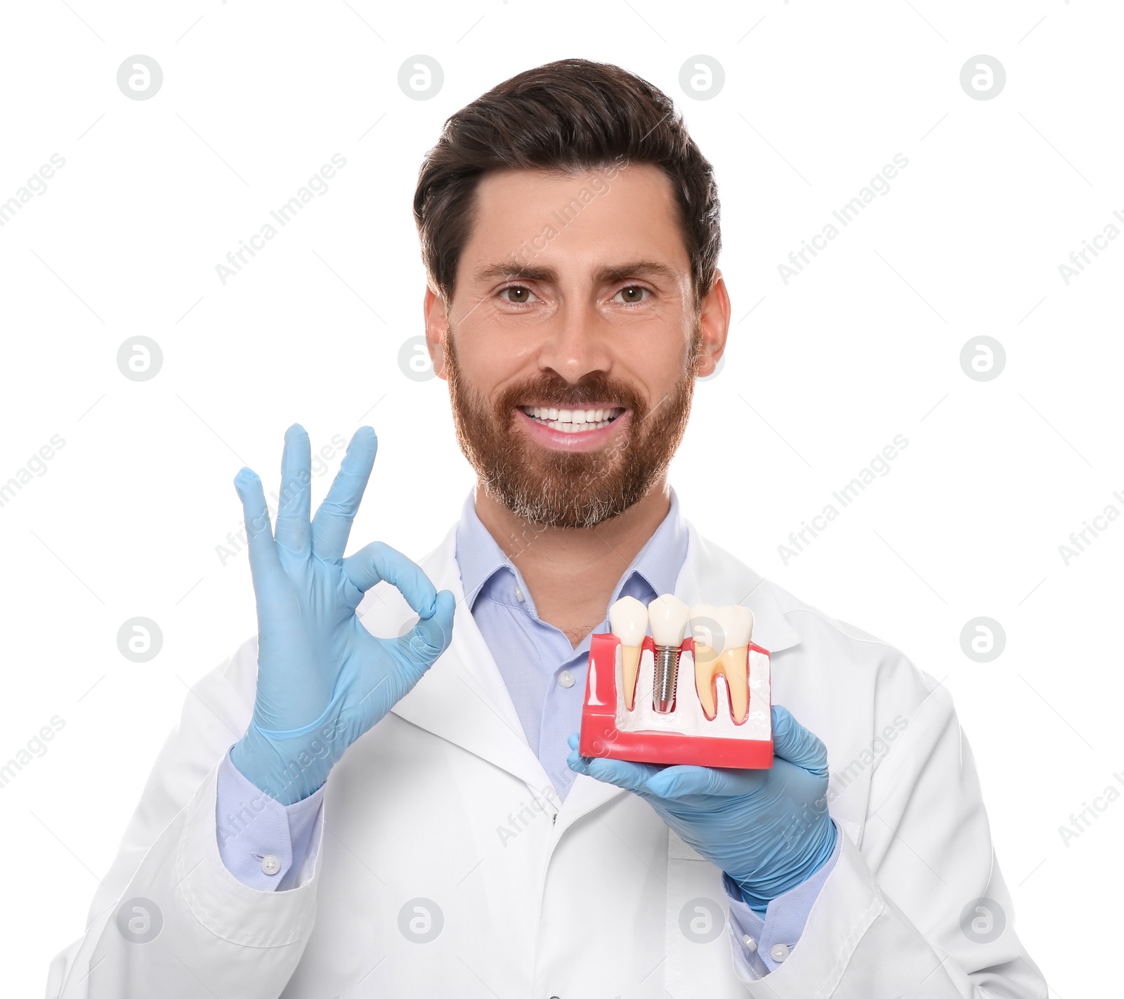 Photo of Dentist holding educational model of dental implant on white background