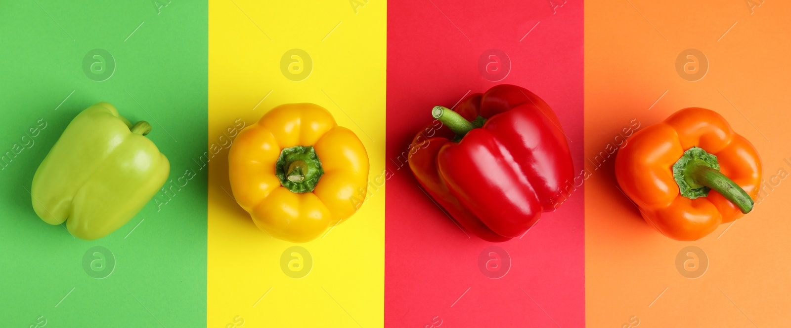 Photo of Flat lay composition with ripe bell peppers on color background