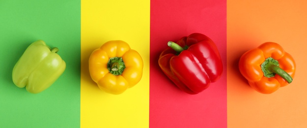 Flat lay composition with ripe bell peppers on color background