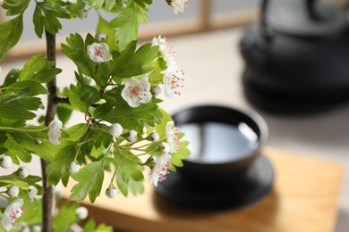 Photo of Stylish ikebana as house decor. Beautiful fresh branch with flowers on blurred background, closeup and space for text