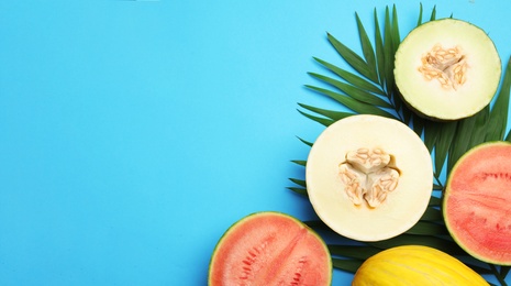 Flat lay composition with tasty melon and watermelon on blue background, space for text