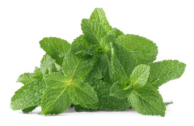 Fresh green mint leaves isolated on white