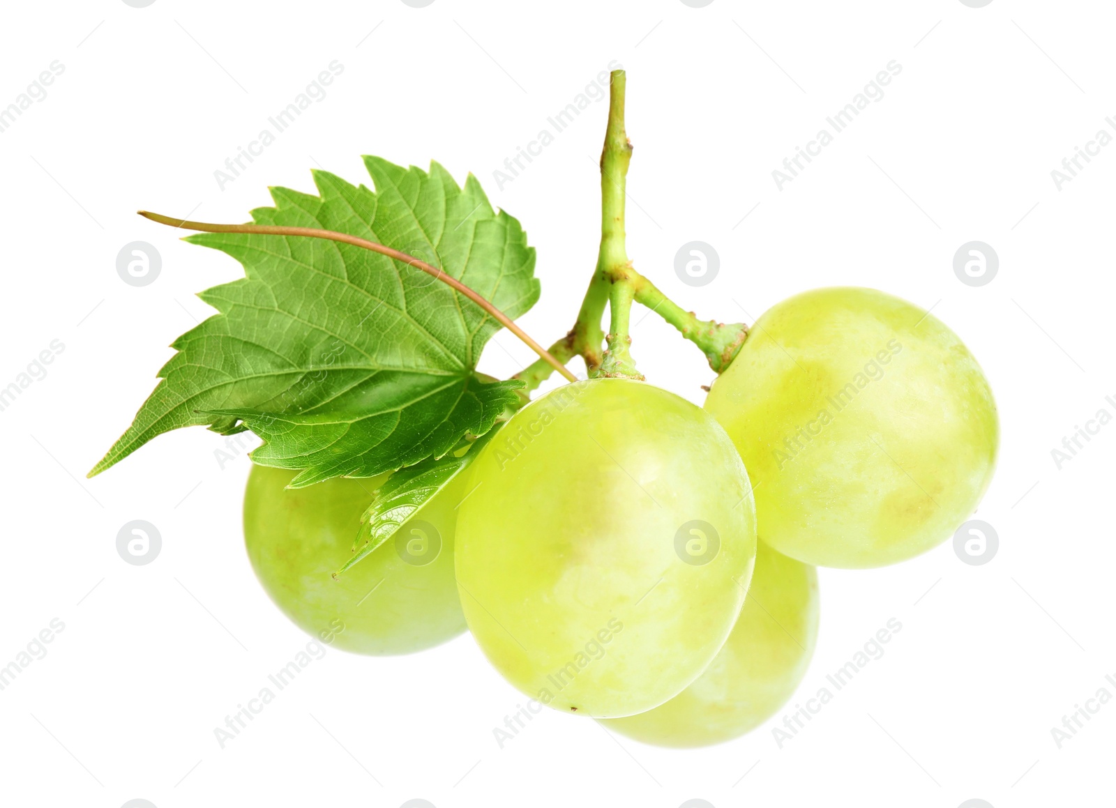 Photo of Fresh ripe juicy grapes isolated on white