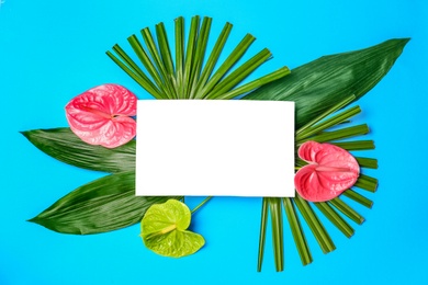 Photo of Creative flat lay composition with tropical leaves and anthurium flowers on blue background